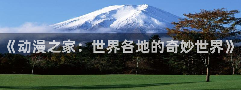 囧次元官方正版：《动漫之家：世界各地的奇妙世界》