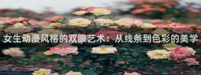 囧次元.：女生动漫风格的双眼艺术：从线条到色彩的美学