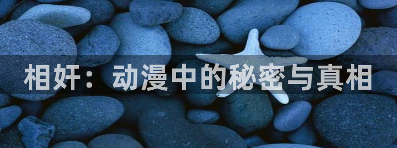 正版囧次元：相奸：动漫中的秘密与真相