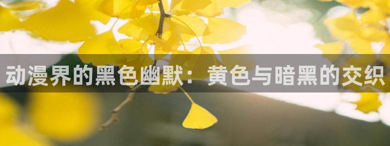 囧次元官方正版：动漫界的黑色幽默：黄色与暗黑的交织