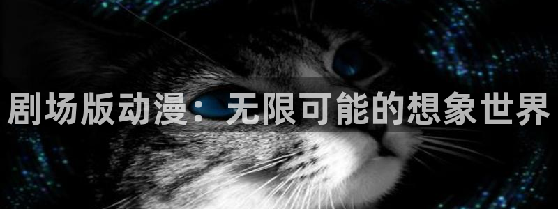囧次元 下载：剧场版动漫：无限可能的想象世界