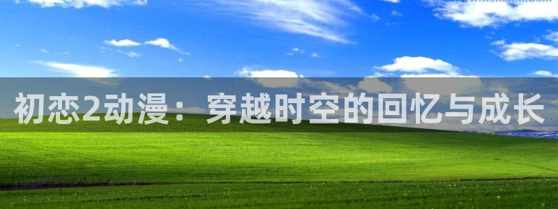 囧次元：初恋2动漫：穿越时空的回忆与成长